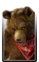 Kuma