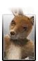 RogerJr